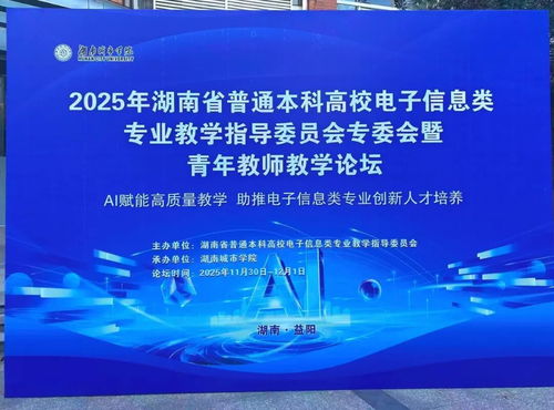 聚智同行，共促成長(zhǎng) 小眼睛科技受邀亮相2025湖南省電子信息學(xué)術(shù)年會(huì)
